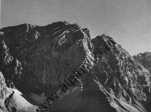 Orgelspitze Nordpfeiler